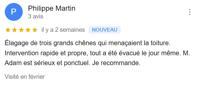 Avis Google - Philippe Martin